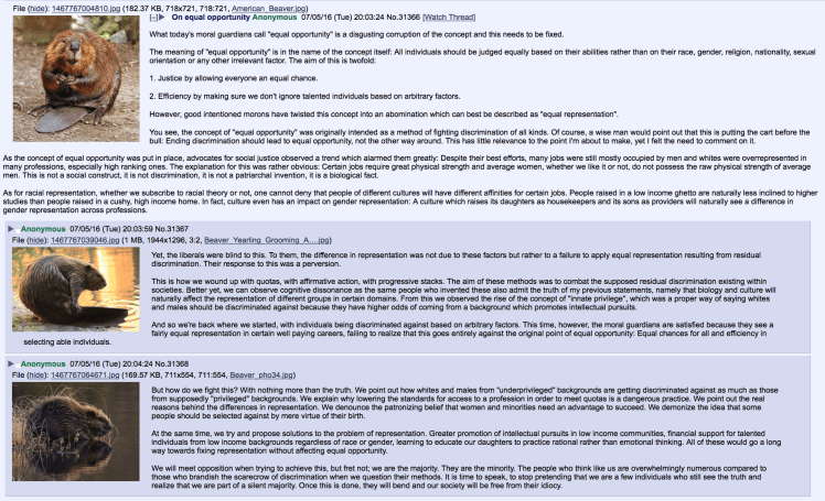 beaver 4 equal opportunity.png