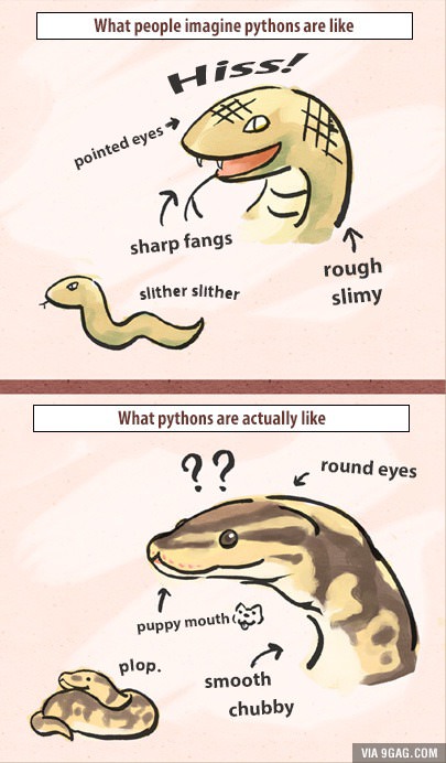 snek