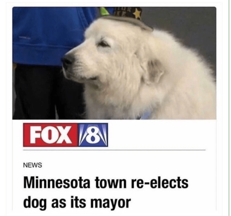 not all politicians are corrupt