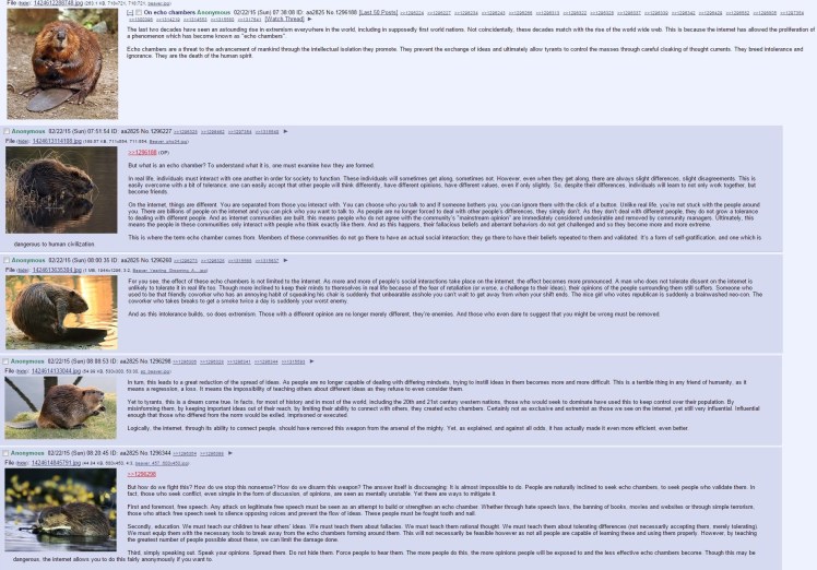 beaver echo chambers