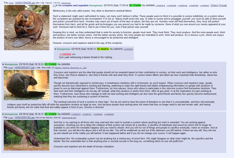 beaver cronyism and nepotism