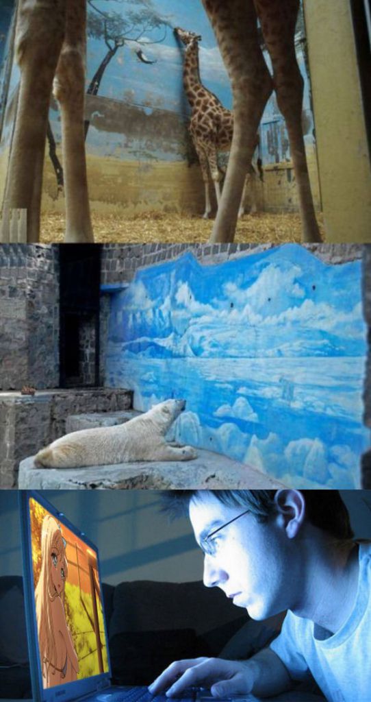 animals in captivity